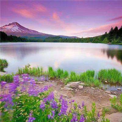 天博tb·体育综合官方网站截图